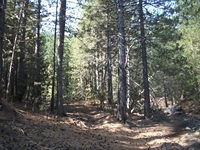 rrente Quarantore-20110911 026